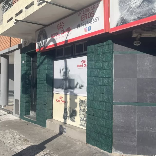 Cachorros en Veterinaria Eros